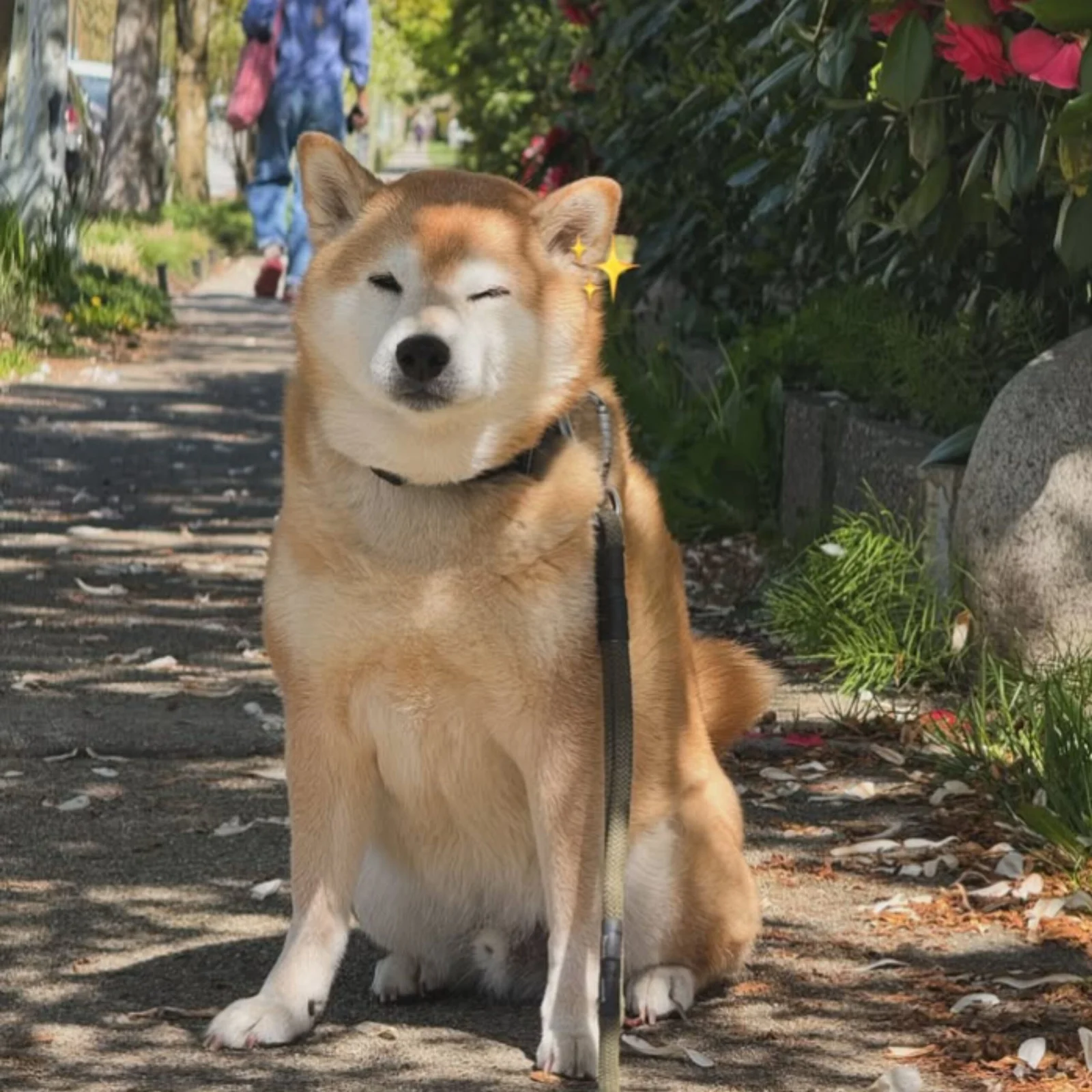 Kylo (6)