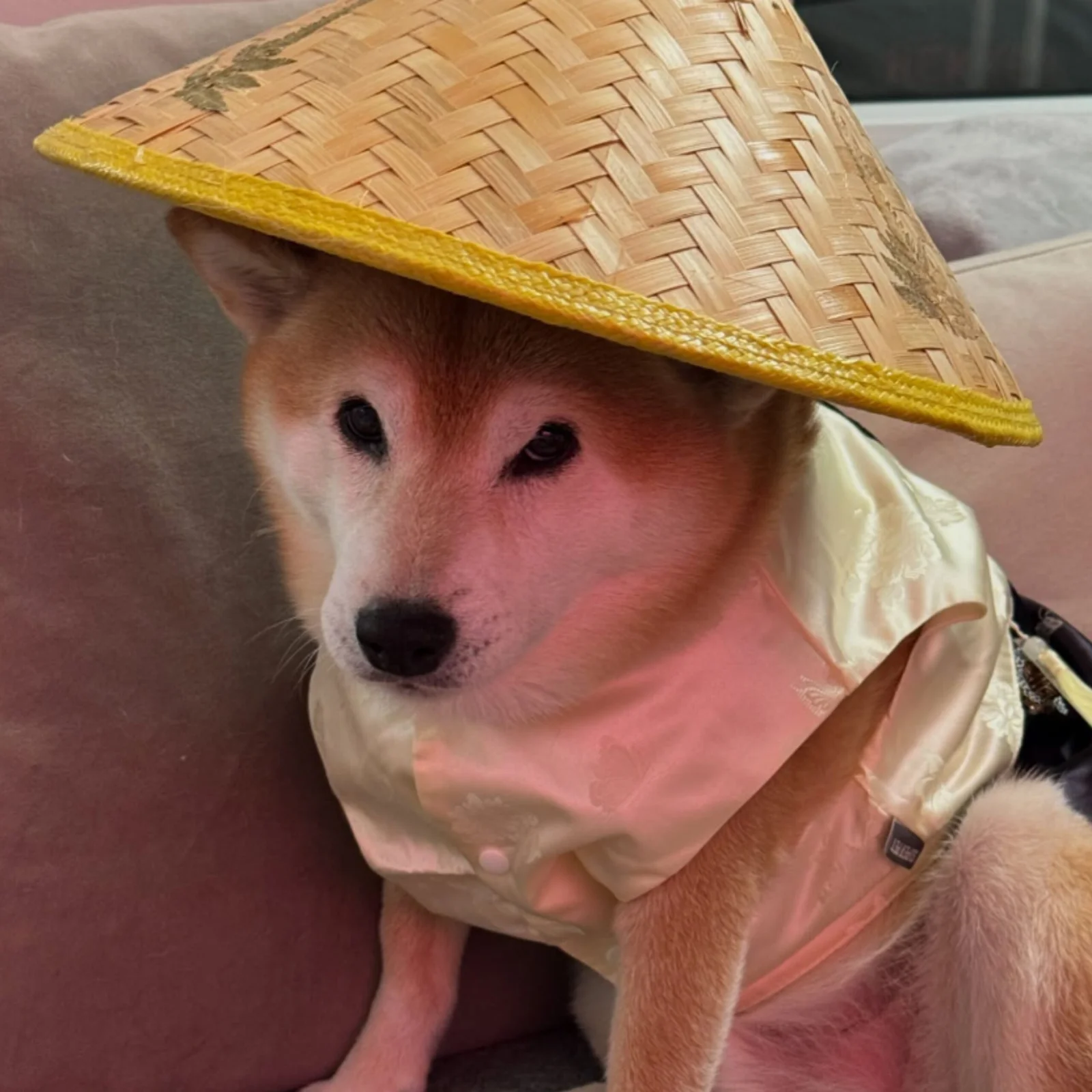 Kylo (9)