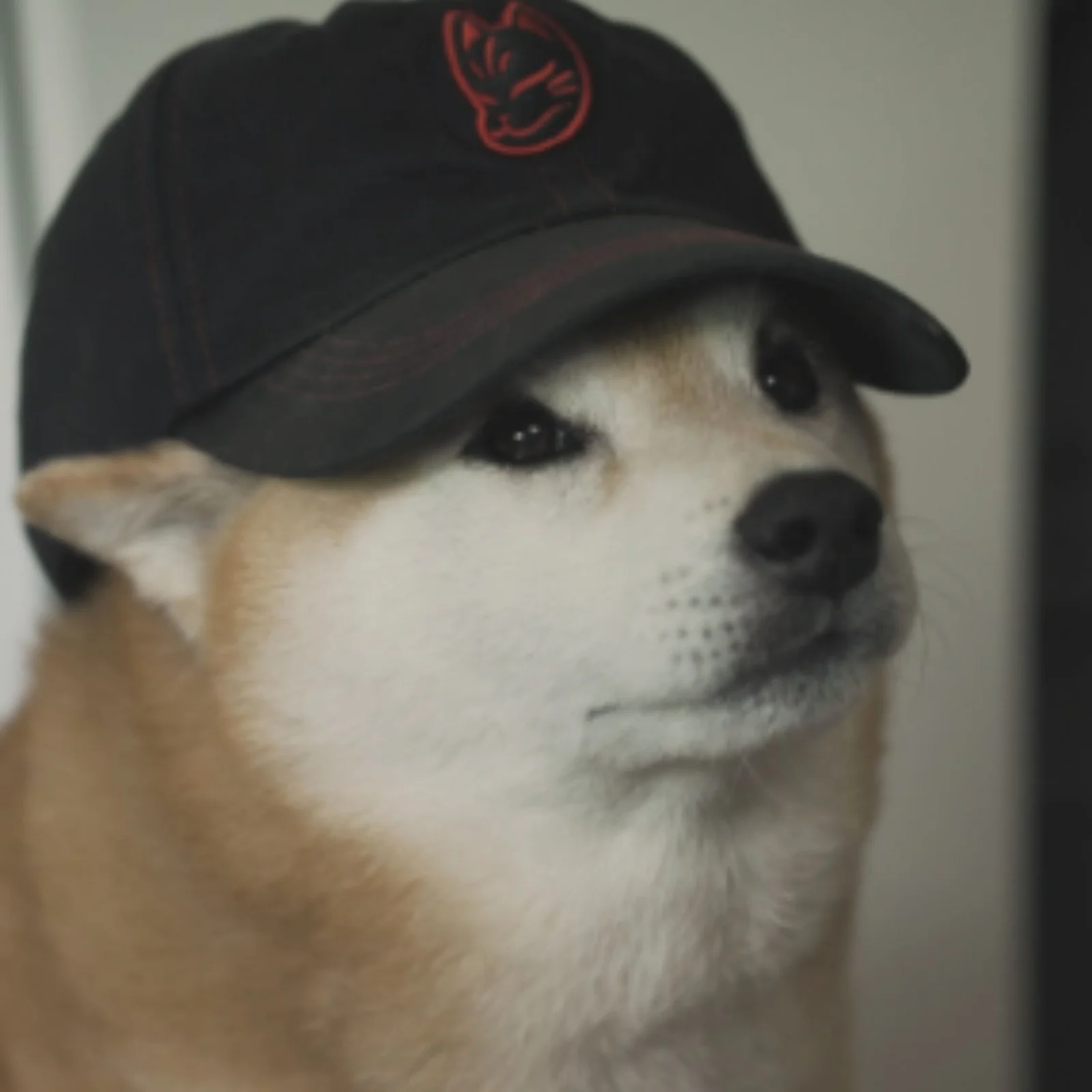 Kylo